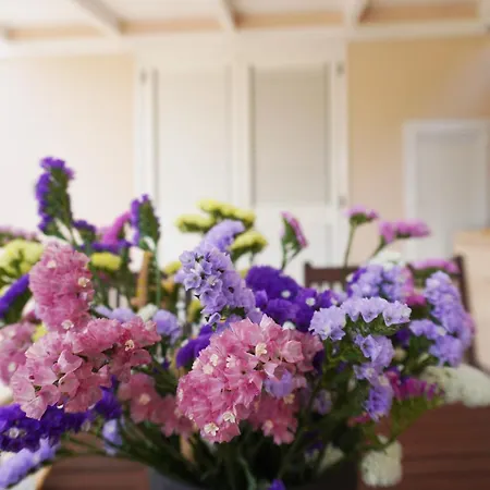 Tenuta Castaldi Farm stay *