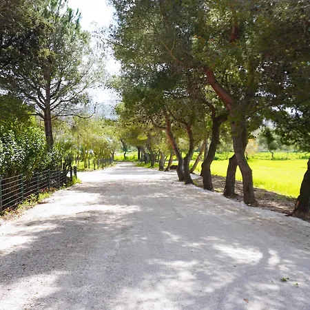 Farm stay Tenuta Castaldi *