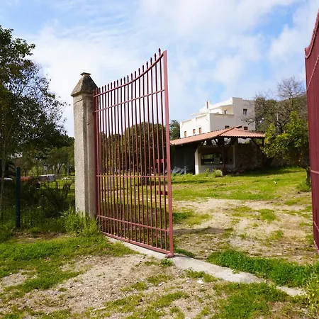 Tenuta Castaldi *