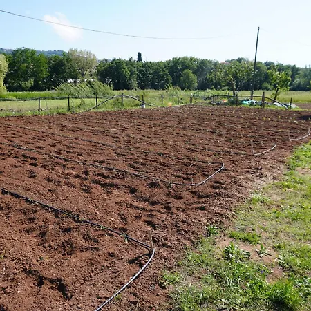 Farm stay Tenuta Castaldi