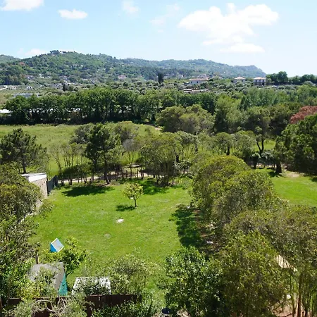 Farm stay Tenuta Castaldi *